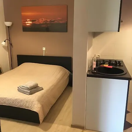 Seklytele 1 Apartment Palanga